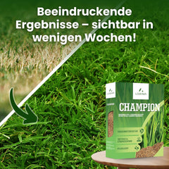 LERAVA CHAMPION Rasensamen (30 M²) - Trockenresistent & Trittfest - Schnellkeimender Grassamen Für Dichten Rasen - Strapazierfähige Nachsaat Herbst - Ideal Für Spiel- & Sportrasen