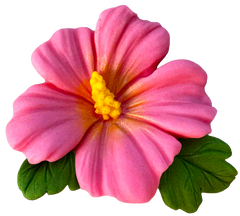 Essbare Dekoration, Hibiskusblüte