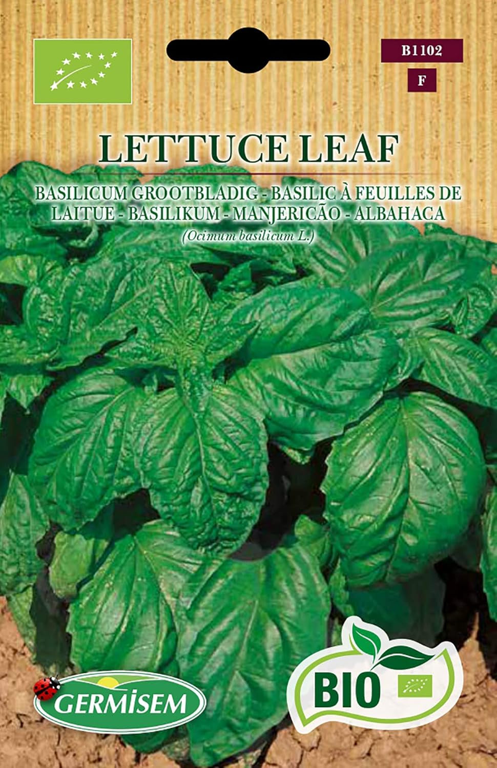 Basilikum LETTUCE LEAF, ECBIO1102