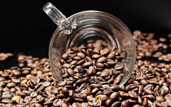Cafea specială din America de Sud - Galapagos, ecosistemul unic al insulelor (1000 de grame, boabe întregi) - cafea de origine unică - cafea premium - aciditate scăzută - prăjită ușor și proaspăt