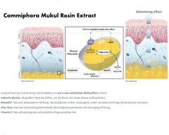 Crema pentru mărirea sânilor și ridicarea sânilor, Ingrediente naturale - PUSH UP! de Elaine Perine ™ Cosmetice si Infrumusetare Naty Shop