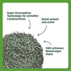 Substral Rasensamen Sport Und Spiel, 2Kg Für 100M² - Strapazierfähige Rasensaat-Mischung Mit Grünfärbung Gegen Vogelfraß