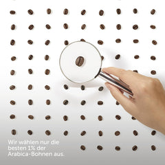 Kaffeebohnen Illy Arabica Selection Brasile Cerrado Mineiro: 100 % aus zertifizierten regenerativen Pflanzen – 250-G-Box Coffee Naty Shop