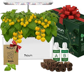 Nouri 7 Pod + Busuioc Heirloom | Grădină inteligentă pentru bucătari de acasă | Sistem de creștere hidroponică | Lumini LED de creștere | Kit de grădinărit cu plante aromatice de interior pentru iubitorii de plante și grădinari, Alb
