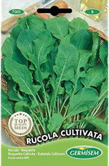 Rucola CULTIVATA Mehrfarbig