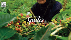 CAFES GUILIS SEIT 1928 AMANTES DEL CAFÉ - Entkoffeinierte Arabica-Kaffeebohnen 1 kg Kaffee Naty Shop