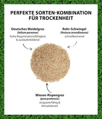 Dehner Saatgut Rasensamen, Trockenrasen, Hochwertige Saatgutmischung, Strapazierfähig/Selbstregenerierend, 750 G, Für Ca. 25 M², Natur