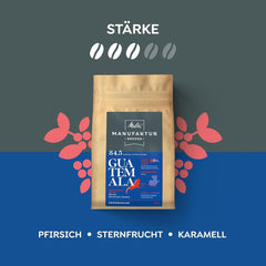 Melitta Manufaktur-Kaffee Guatemala Honig, Spezialitätenkaffee, 250 g, ganze Kaffeebohnen, ungemahlen, Single Origin Kaffee, zarte Trommelröstung, in Deutschland geröstet, Stärke 3 Kaffee Naty Shop