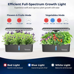 Sistem de creștere hidroponică pentru 12 plante, grădină de plante aromatice de interior cu cronometru automat, pompă, kit inteligent de creștere a grădinii reglabil pe înălțime (semințele nu sunt incluse)