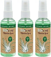 Vdvelde.Com - Tillandsia Spray - • Pflege Für Luftpflanzen • 3 X 125 Ml • in Praktischer Sprühflasche