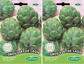 Artischocke VERT DE LAON, Mehrfarbig, EC5021 (Packung Mit 2)