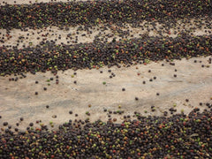 CAFES GUILIS SEIT 1928 AMANTES DEL CAFÉ - Entkoffeinierte Arabica-Kaffeebohnen 1 kg Kaffee Naty Shop