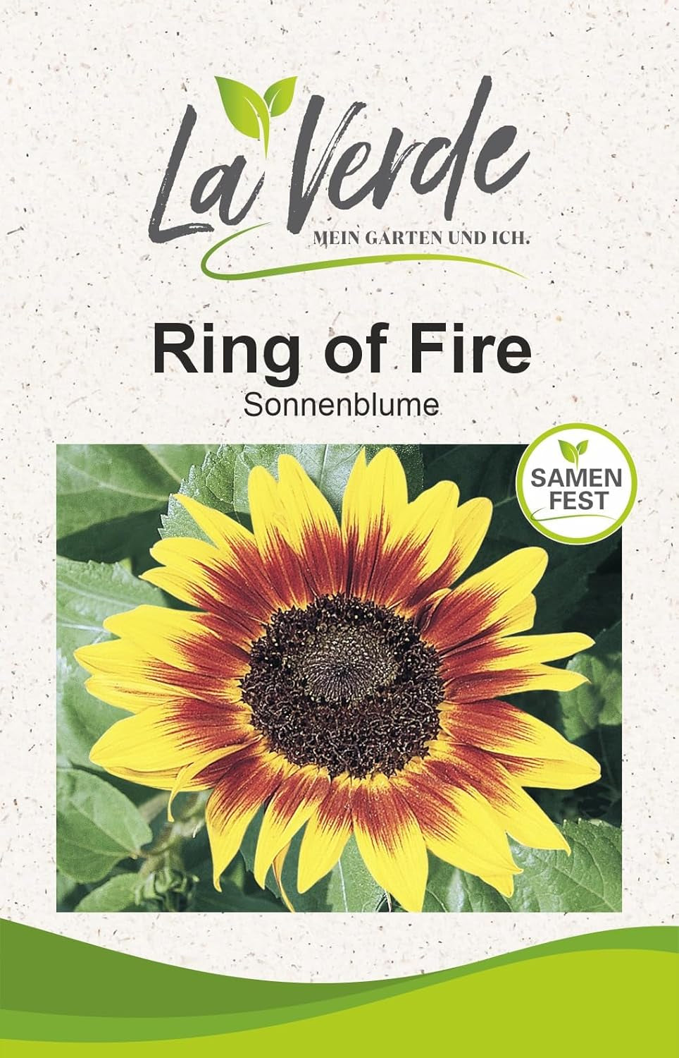 La Verde MEIN GARTEN UND ICH. Orange Sun Sonnenblumen Samen Für Ca. 30 Pflanzen, Gefüllte Orange Blüten, Eintriebig Und Schnittgeeignet, Blumensamen Ohne Gentechnik