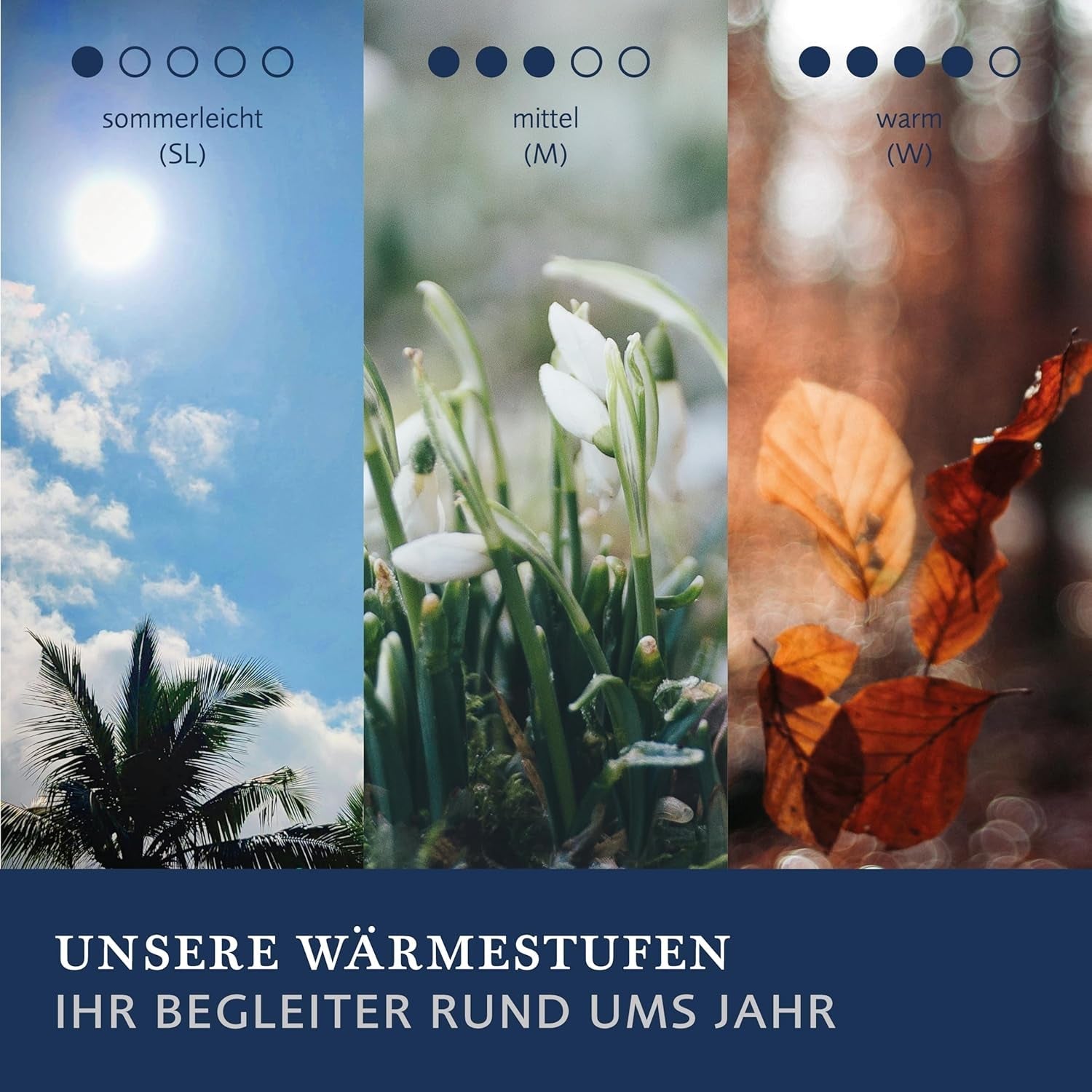 Billerbeck E45 Bambusdecke – Sommerdecke – 135 x 200 cm – Baumwolldecke, kühlende Steppdecke – mit Bambusfüllung, leichter Sommer (Sl) Steppdecken und Steppdecken Naty Shop