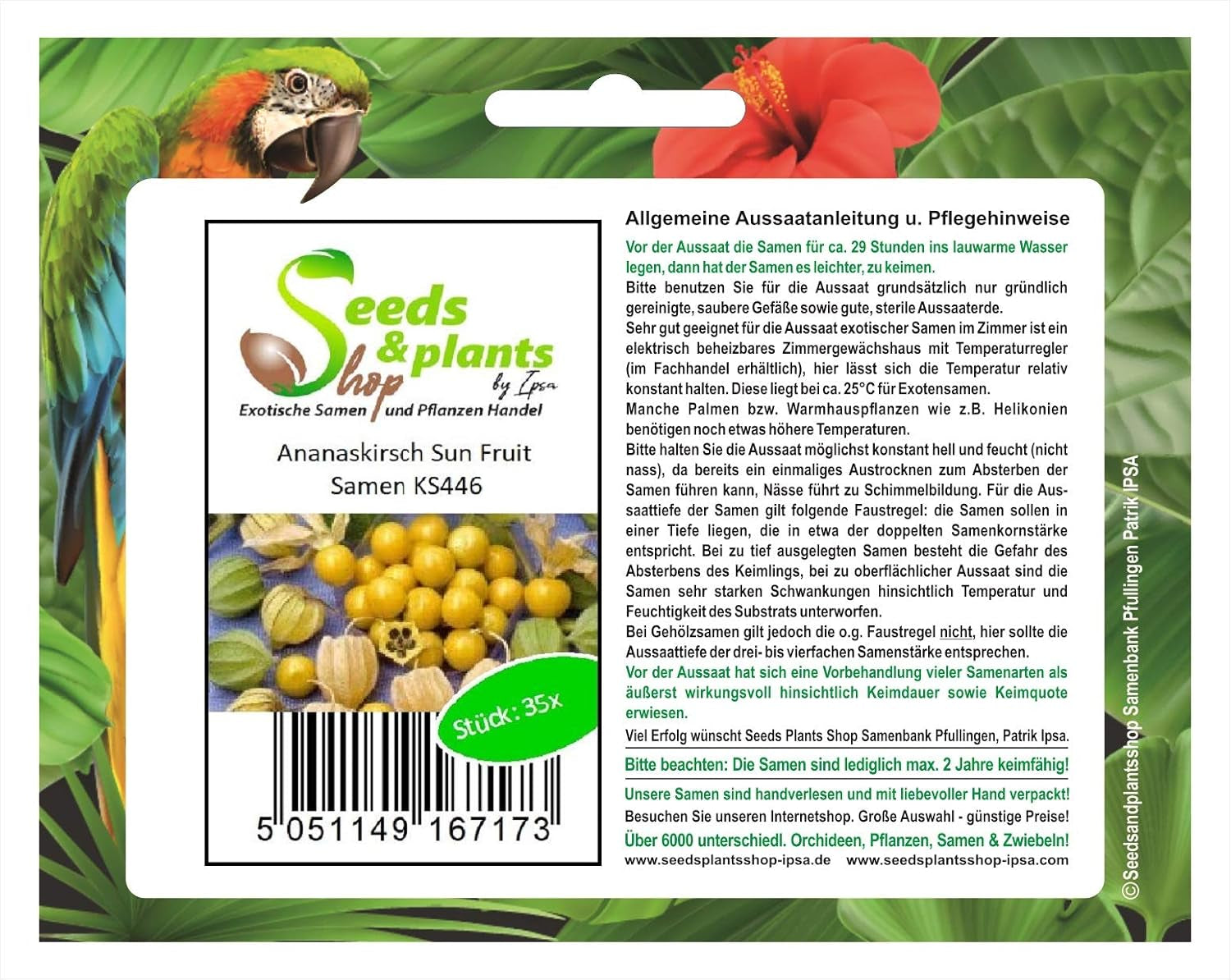 Stk - 35X Ananaskirsch Sunfruit - Samen Beere Physalis Pruinosa Obst KS446 -
