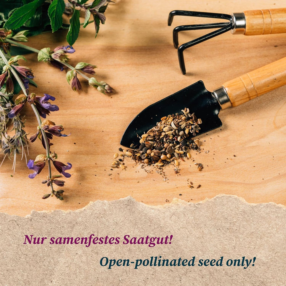 Exotische Schönheiten für Wintergarten & Terrasse - Samen-Geschenkset mit 5 frostempfindlichen Blühpflanzen aus aller Welt