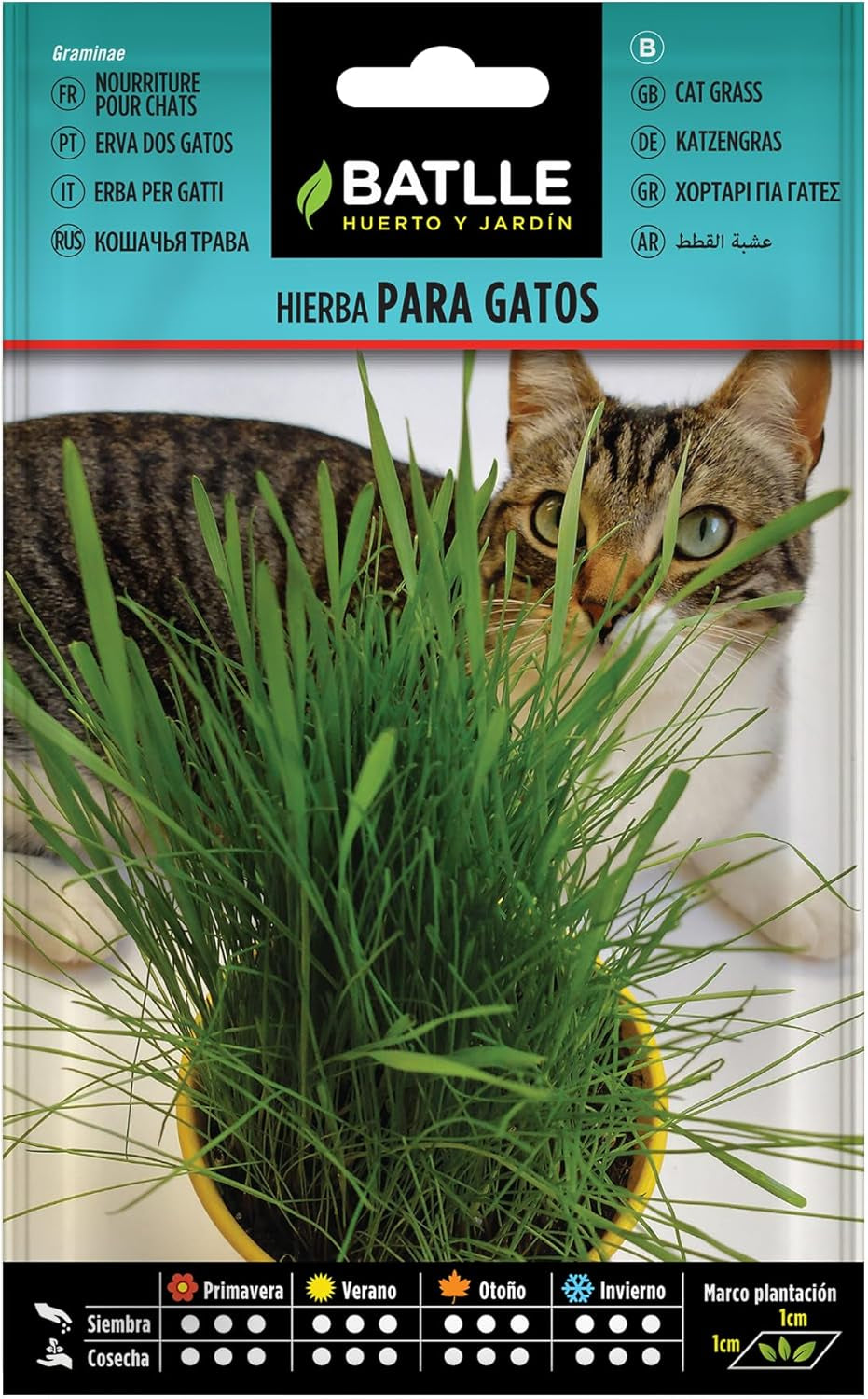 Batlle Kräutersamen - Katzengras (Samen - 10-15Cm)