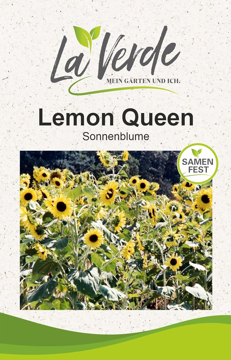 La Verde MEIN GARTEN UND ICH. Astra Rose Sonnenblumen Samen Für Ca. 50 Pflanzen, Blumensamen Halb Gefüllt Und Lang Blühend, Saatgut Ohne Gentechnik