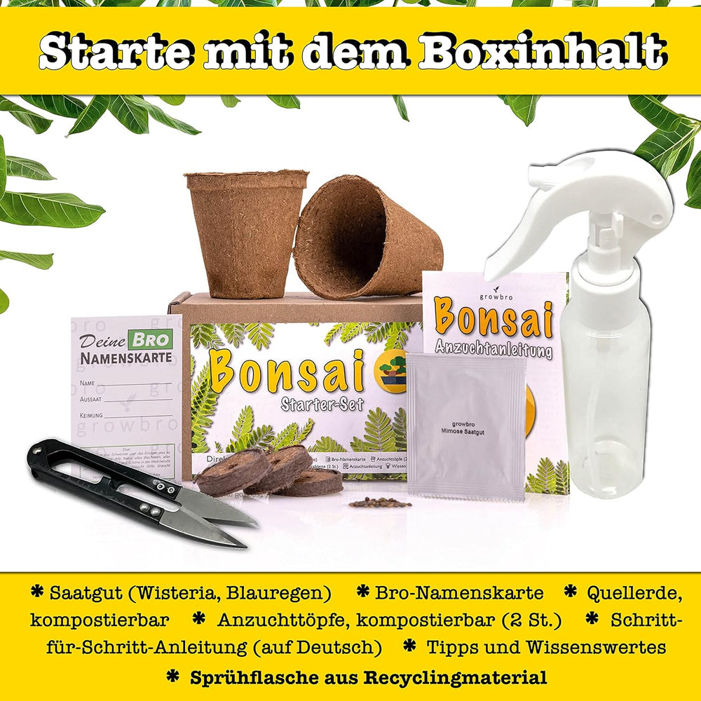 Bonsai Anzuchtset Von Growbro - ZÜCHTE DEINEN EIGENEN BONSAI BRO, Bonsai Starter Kit Inkl. Samen, Sprühflasche, Uvm.