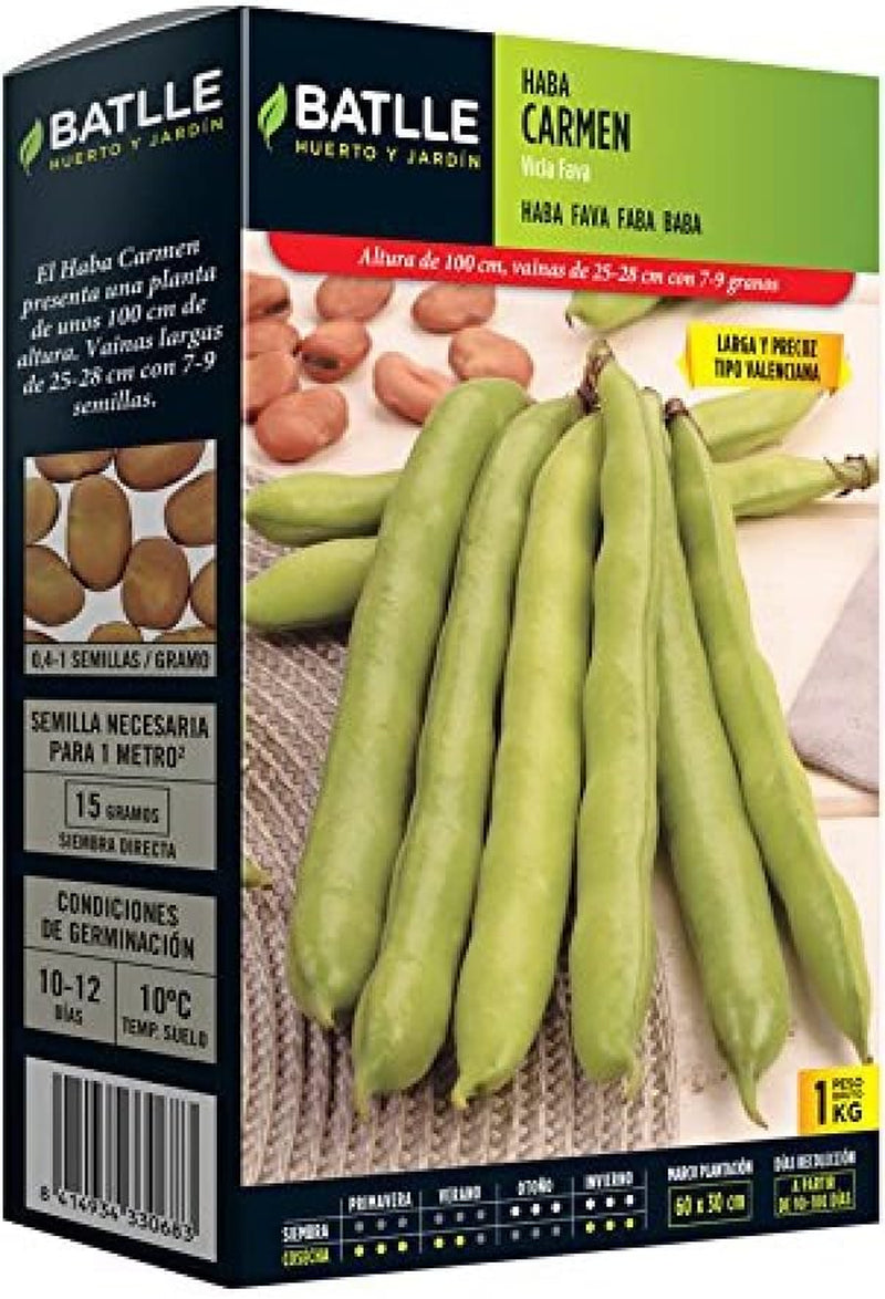 Samen Batlle – Haba Frühe Bohne Carmen, Lang 1 Kg