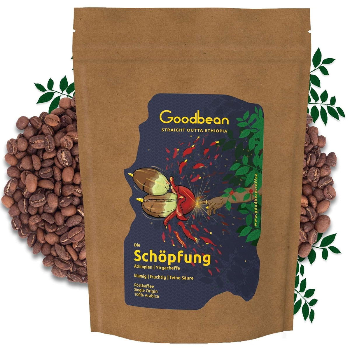 Die Schöpfung | blumig, fruchtig, feine Säure | milde & harmonische Kaffeebohnen | 500g | 100% Arabica | Äthiopien - Yirgacheffe | frisch geröstet | Versand direkt aus der Rösterei | Medium Roast
