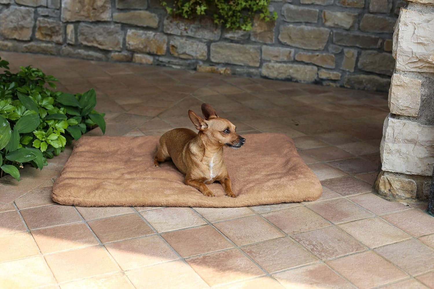 Sogni E Capricci Super Soft Mat, Cream, 104X75CM, Poliester, Plapumi si pilote Naty Shop Maro 62X50Cm