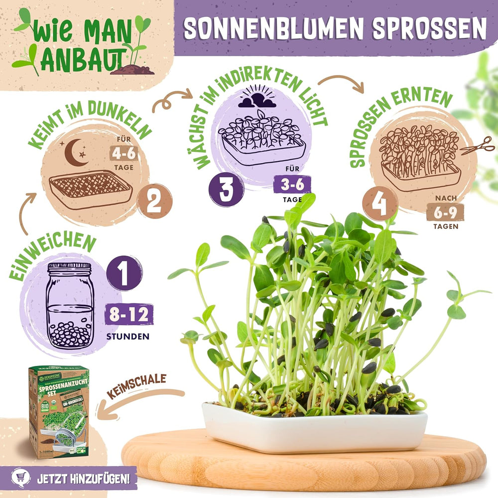 Bio Sonnenblumen Samen - Wähle Zwischen 10G, 200G Und 500G - Sonnenblume Mit Keimrate Von Über 97% - Keimsprossen - Sonnenblumensamen Zum Sprossen Ziehen - Wiederverschließbare Verpackung