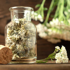 Set de semințe de ceai: 8 varietăți de semințe pentru balcon și grădină – mentă, mușețel, anason, urzică, nalbă – semințe de plante – ceai – cutie de ceai – plante OwnGrown