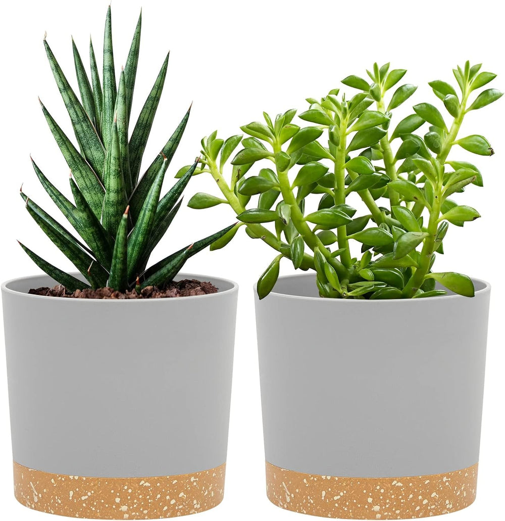 Ghiveci de flori set de 2 12,7 cm, ghivece pentru plante de interior cu găuri de drenaj și bază detașabilă, farfurioare decorative moderne pentru jardiniere de grădină de exterior (alb 12,7 cm)