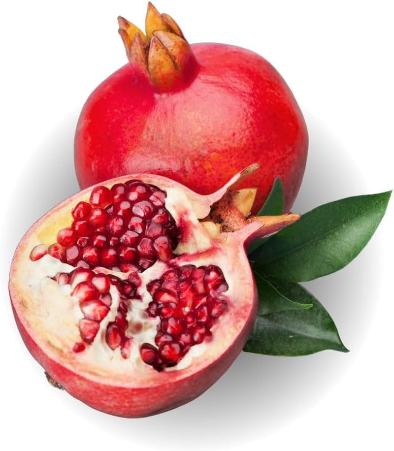 Granatapfel Mit Roten Früchten Soft Seed 6® Obstbäume Höhe: 160~170 Cm Alter: 4 Jahre Vase: Durchmesser 26 Cm