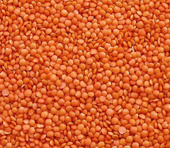 Seba Garden Rote Linsen 1 kg – Premium ganze Linsen aus Kanada – Massor Dal, gentechnikfrei, proteinreich, reich an Ballaststoffen – ganz natürlich, vegan, glutenfrei, ideal für Suppen und Currys