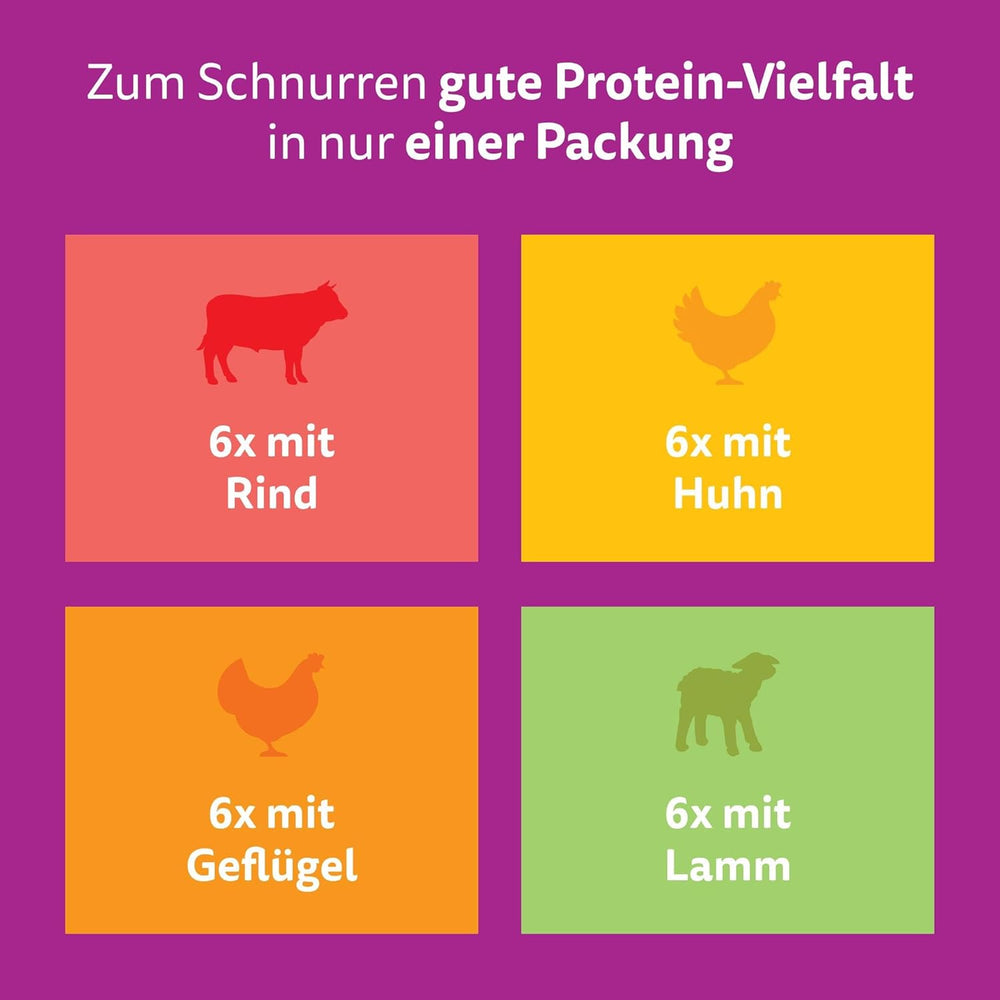 WHISKAS PURE DELIGHT Hrană umedă în jeleu 24 x 85g Ragout clasic (4 pachete) 48 pliculețe porționate