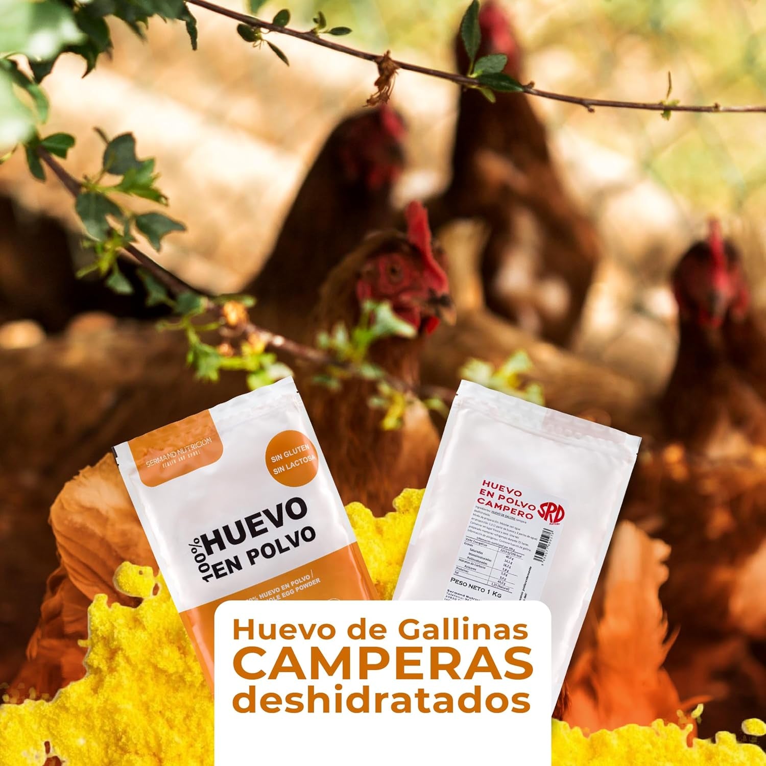 Eipulver aus Freilandeiern (1kg) | Pasteurisiertes Vollei Pulver | Ohne Zusatztoffee | Glutenfrei & laktosefrei | Vakuumverpackung im Zip-Beutel