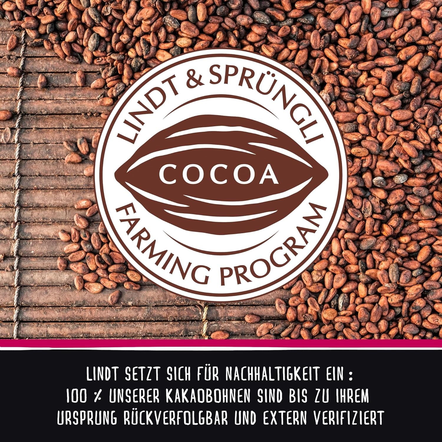 Lindt Chocolate HELLO Vegan Sweet'N Salty Popcorn, 100-Gramm-Riegel Naty Shop