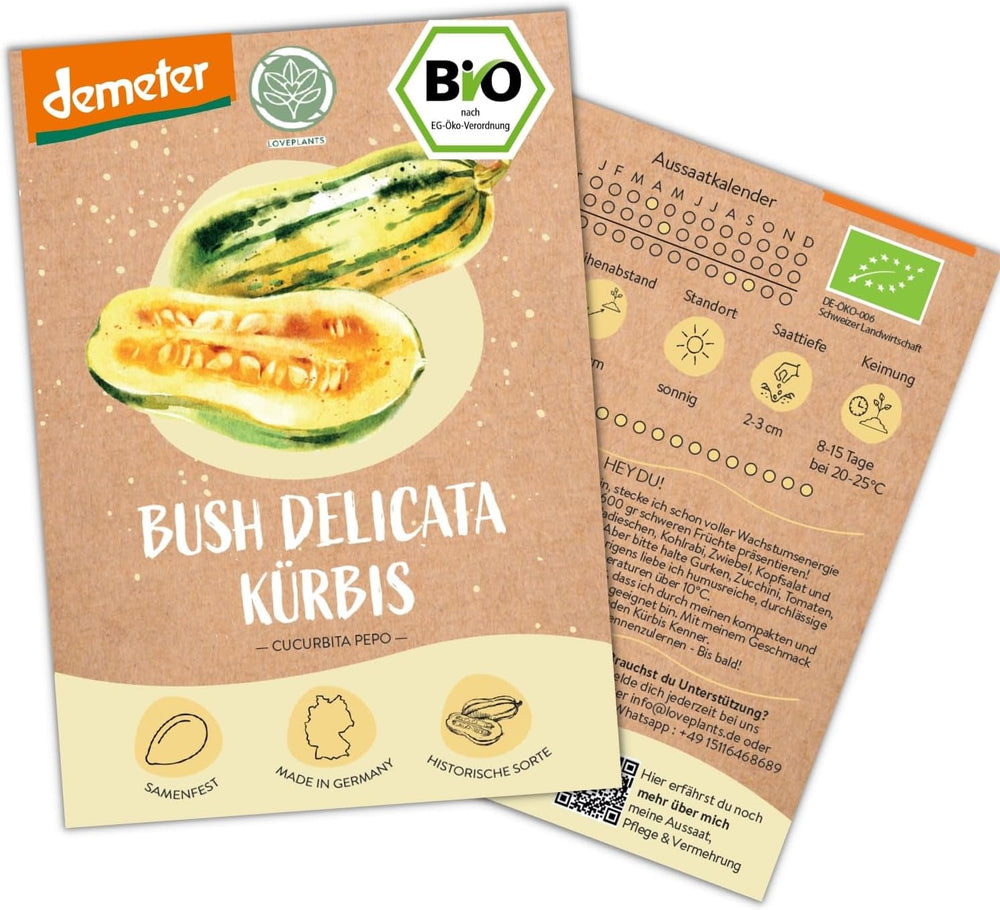 Semințe de castraveți mini mexicani organici, 10 semințe de castraveți gustare, rată mare de germinare, certificate Demeter și polenizate deschis | Semințe de legume de la LOVEPLANTS, pentru balcon, grădină, strat înălțat – Soiuri de legume Heirloom