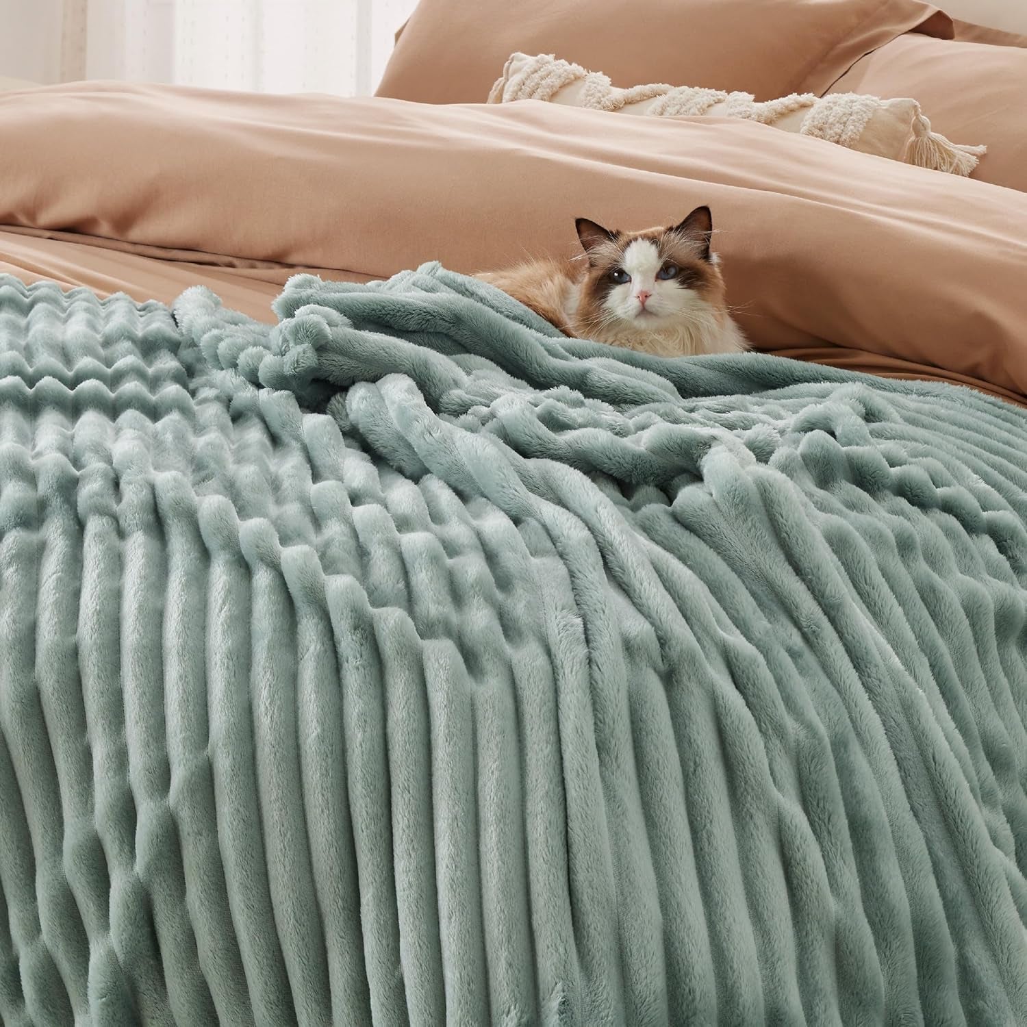 BEDSURE Sage Green Fleece Throw Blanket pentru canapea - pături confortabile super moi pentru femei, pătură mică drăguță pentru fete, 127 X 152 Cm Paturi si Cuverturi Besuche den BEDSURE-Store