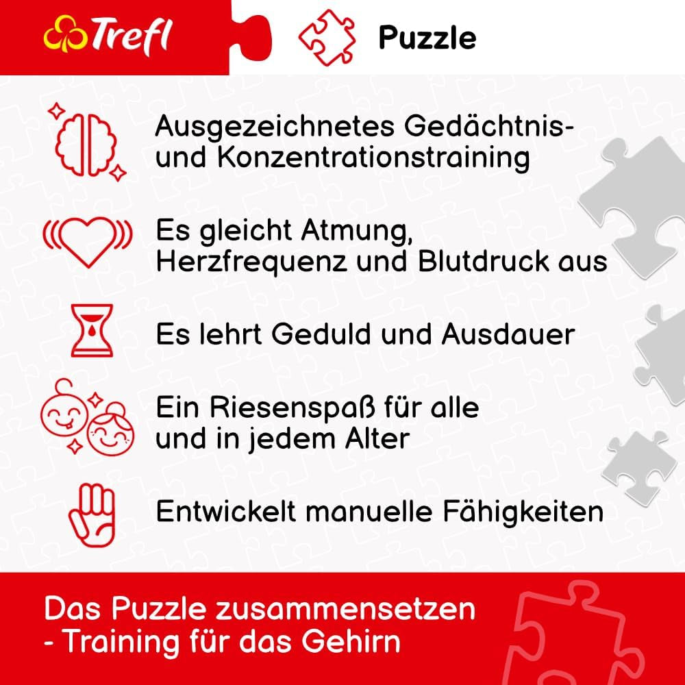 Trefl - Puzzle 2In1: Relaxare de vară - 2 X 500 piese - Set de două puzzle-uri, DIY, Divertisment creativ, Pentru adulți și copii de 10 ani și peste Puzzle Naty Shop