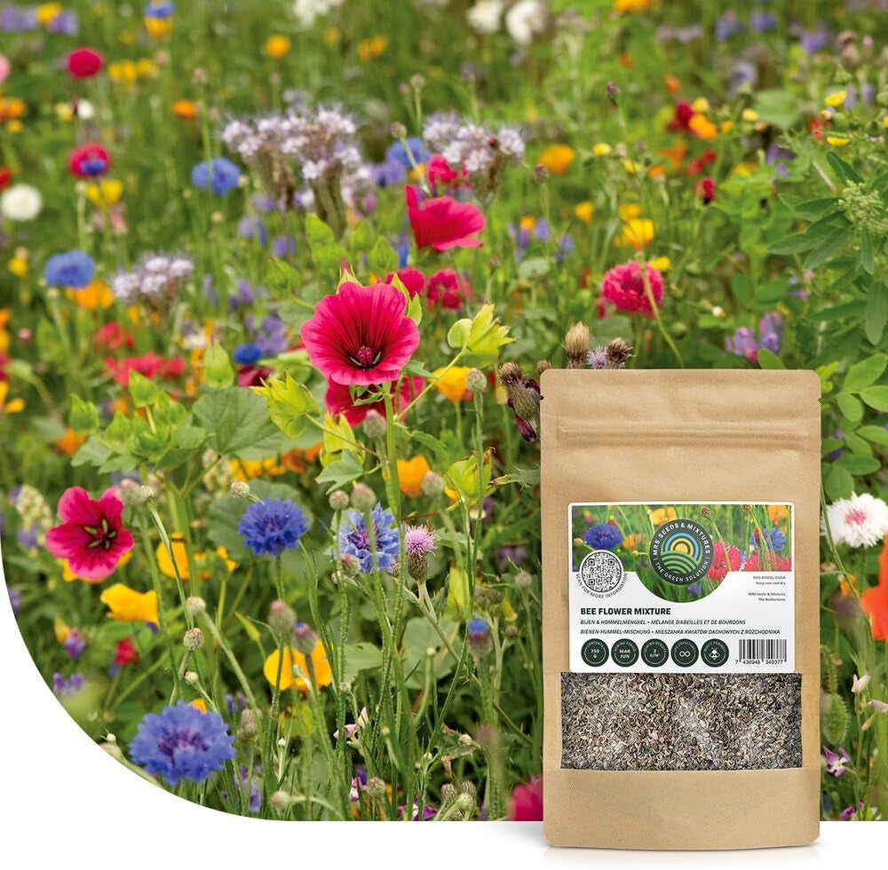 Bunte Insektenfreundliche Wildblumensamen Mischung - 250 Gramm Für 125 M² - Einjährige & Mehrjährige Blumenmischung - Für Wildbienen, Hummeln & Schmetterlinge - Schnelle Aussaat - MRS Seeds