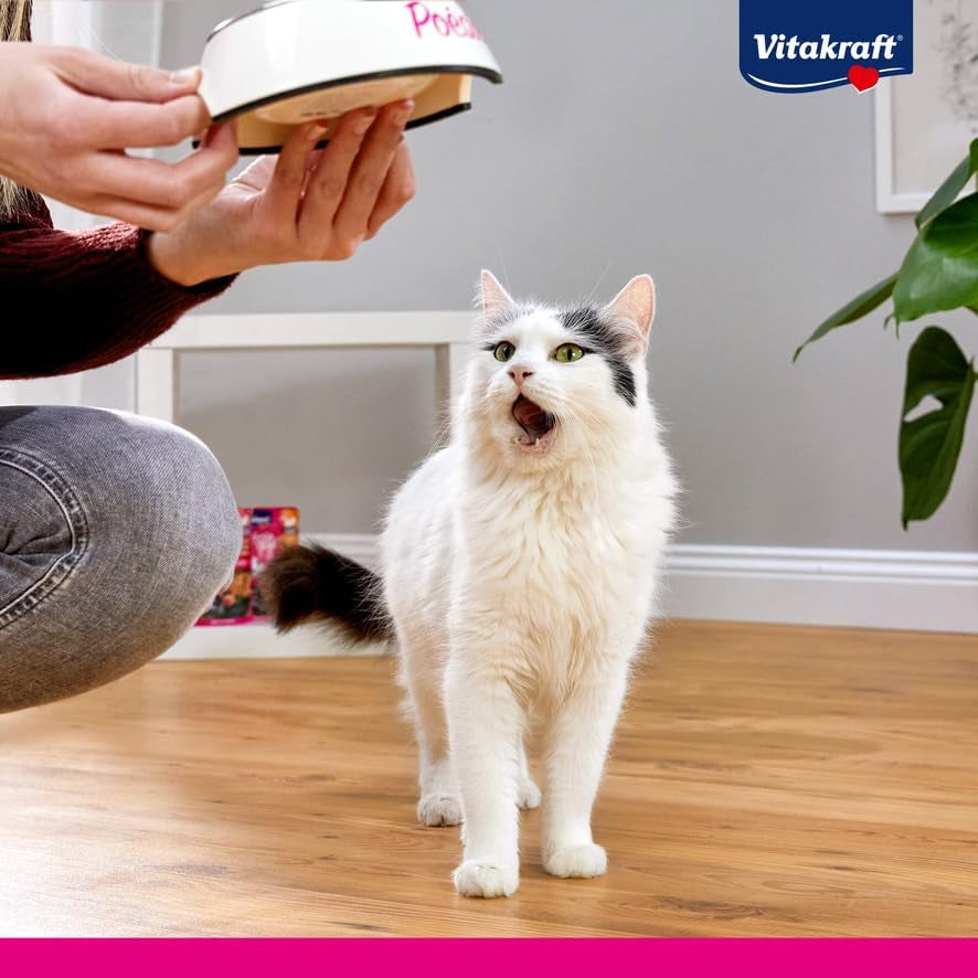 Vitakraft Poésie Création, hrană umedă pentru pisici, hrană umedă pentru pisici în sos, cu curcan în sos de brânză, pachet multiplu, fără zahăr adăugat sau cereale (15 x 85g)