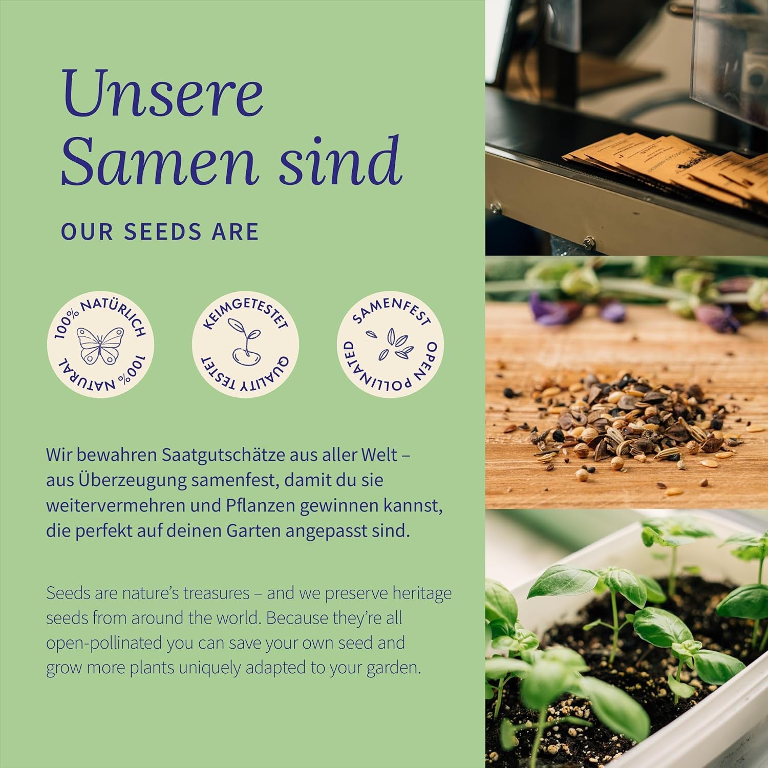 Magic Garden Seeds - Melonen Garten Saatgut-Box Mit 4 Sorten - Wassermelone, Honigmelone & Zuckermelone Für Hochbeet, Topf & Garten - Aromatisch & Süß