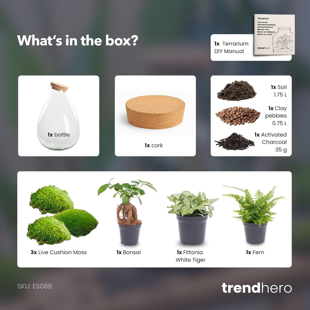 Urbanjngl - Drop XL Terrarium Grün - DIY Kit Für Pflanzen - Ø 24 Cm, Höhe 37 Cm - Inklusive Kork - Ideal Für EIN Nachhaltiges Ökosystem
