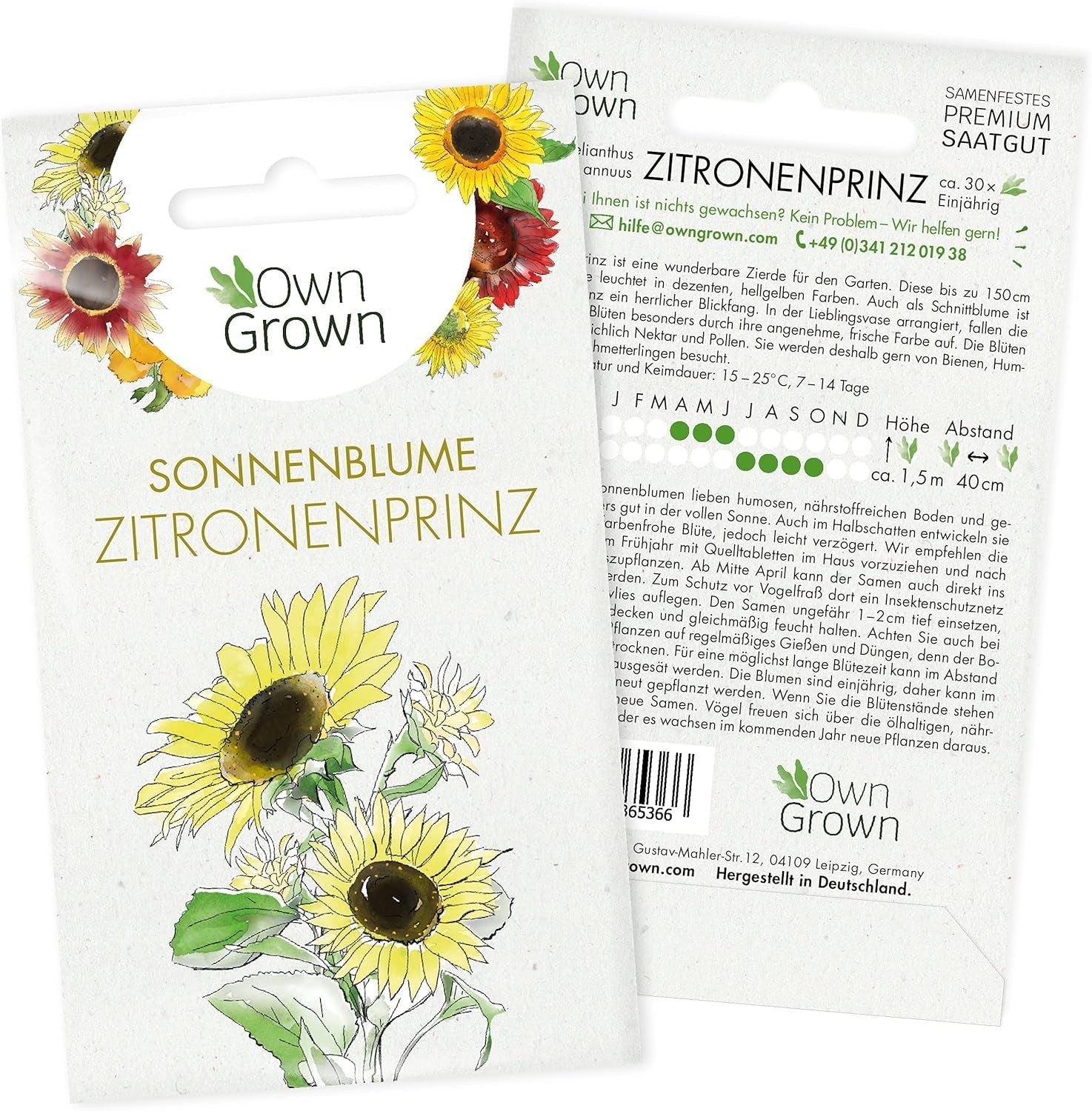 Semințe de floarea-soarelui Discus galben (Helianthus annuus): Semințe de floarea-soarelui premium, semințe de floarea-soarelui pentru cultivarea a aproximativ 20 de plante de floarea-soarelui – Semințe de flori prietenoase cu insectele de la OwnGrown