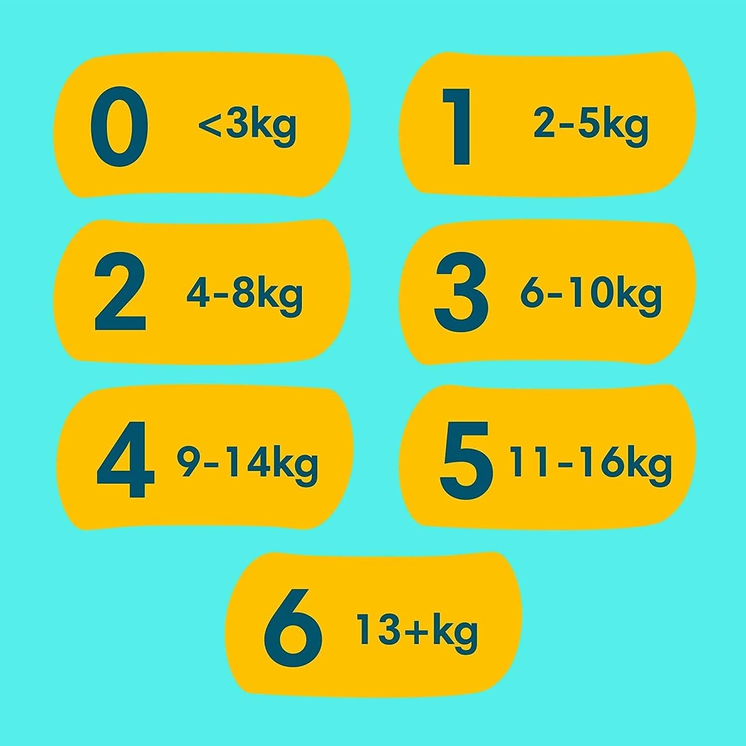 Paket Pampers Größe 1 (Neugeborene) und Always Discreet L, Einweghöschen für Mütter, Inkontinenz und Mutter und Kind nach der Geburt Naty Shop