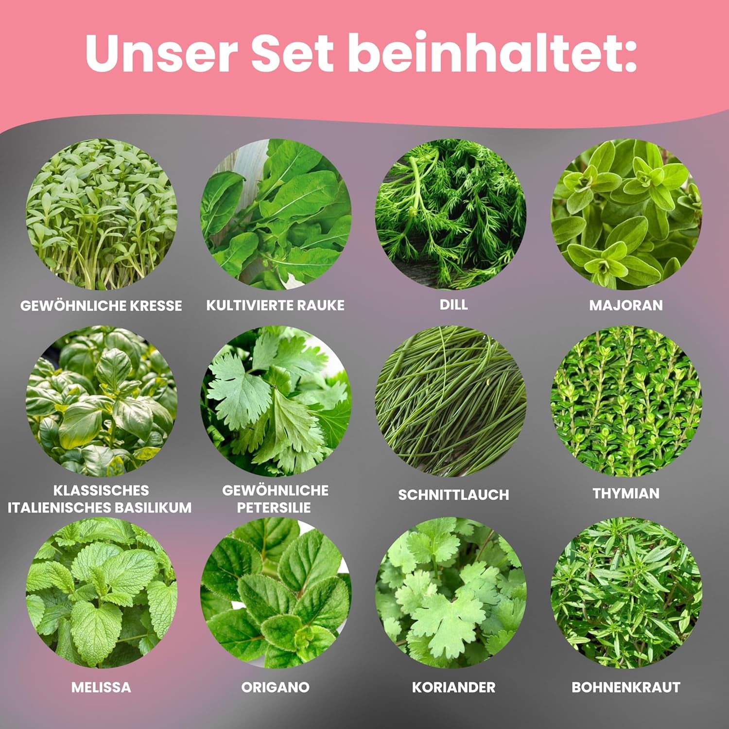 LERAVA Kräutersamen Set – 12 Sorten: Basilikum Samen, Petersilie Samen, Koriander, Oregano & mehr – Saatgut für frische Kräuter im Garten oder Topf, Premium Samen für Küche & Balkon - Samen set, seeds