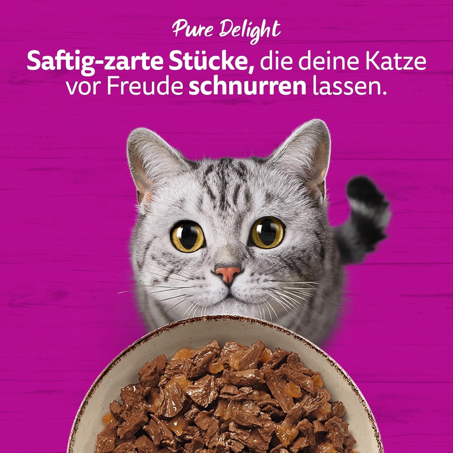 WHISKAS PURE DELIGHT Hrană umedă în jeleu 24 x 85g Ragout clasic (4 pachete) 48 pliculețe porționate