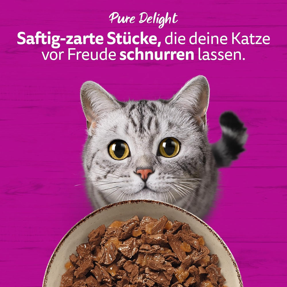 WHISKAS PURE DELIGHT Hrană umedă în jeleu 24 x 85g Ragout clasic (4 pachete) 48 pliculețe porționate