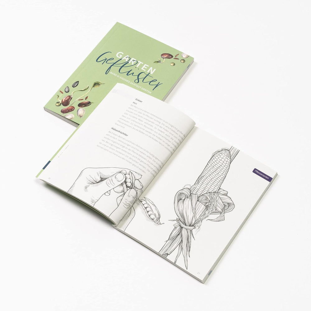Bunter Selbstversorgergarten - Bio-Saatgutset Für Alle Gemüsegärtner*Innen - Hülsenfrüchte, Kohl, Blatt- & Wurzelgemüse