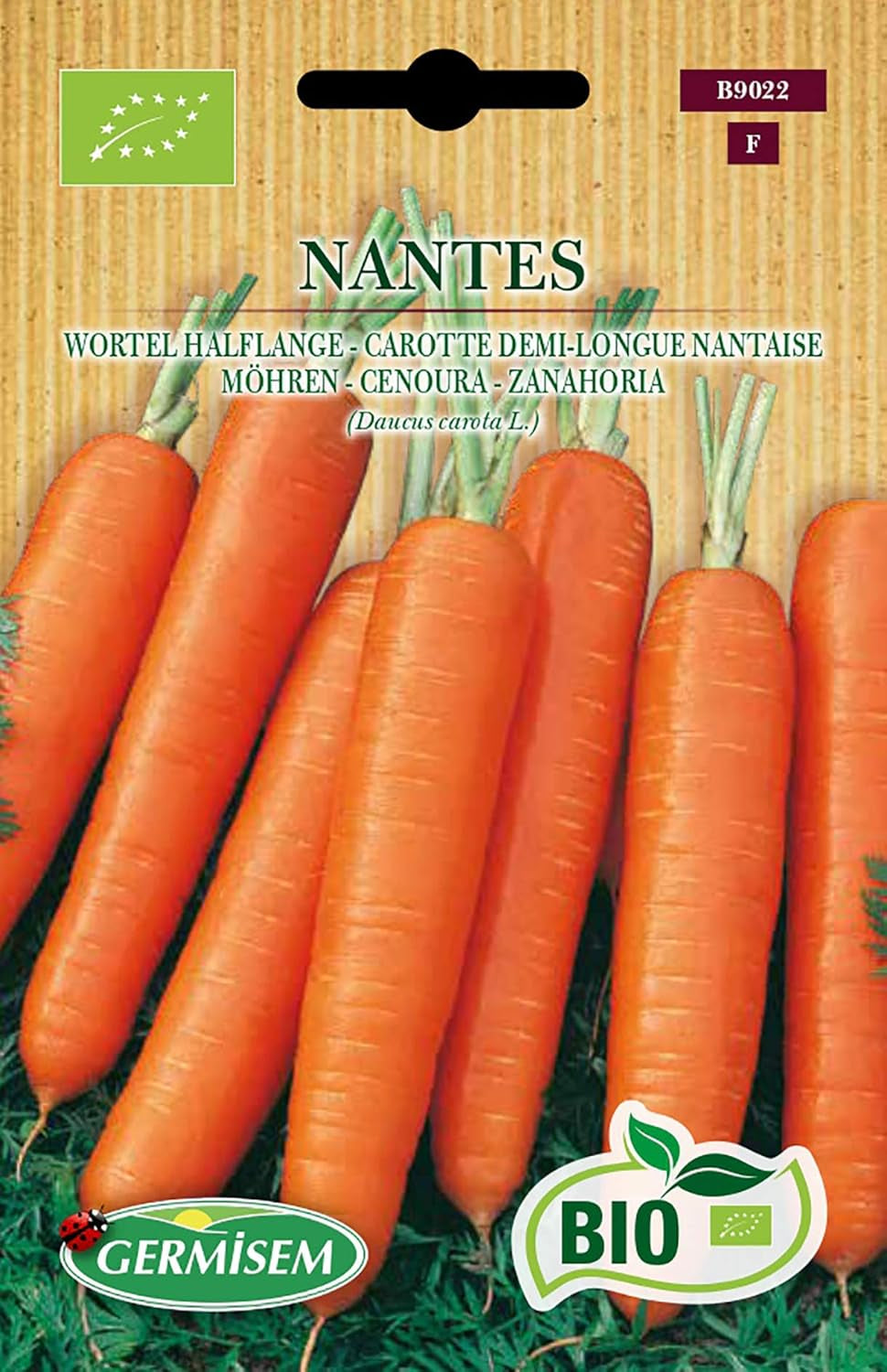 Möhren NANTES