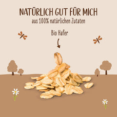 Allos Bio Haferdrink Barista | Milchalternative aus Hafer | Schaumbarer Drink auf Pflanzenbasis | Perfekt zum Kaffee. Veganes, laktosefreies Getränk | 1 Liter (6 Stück)