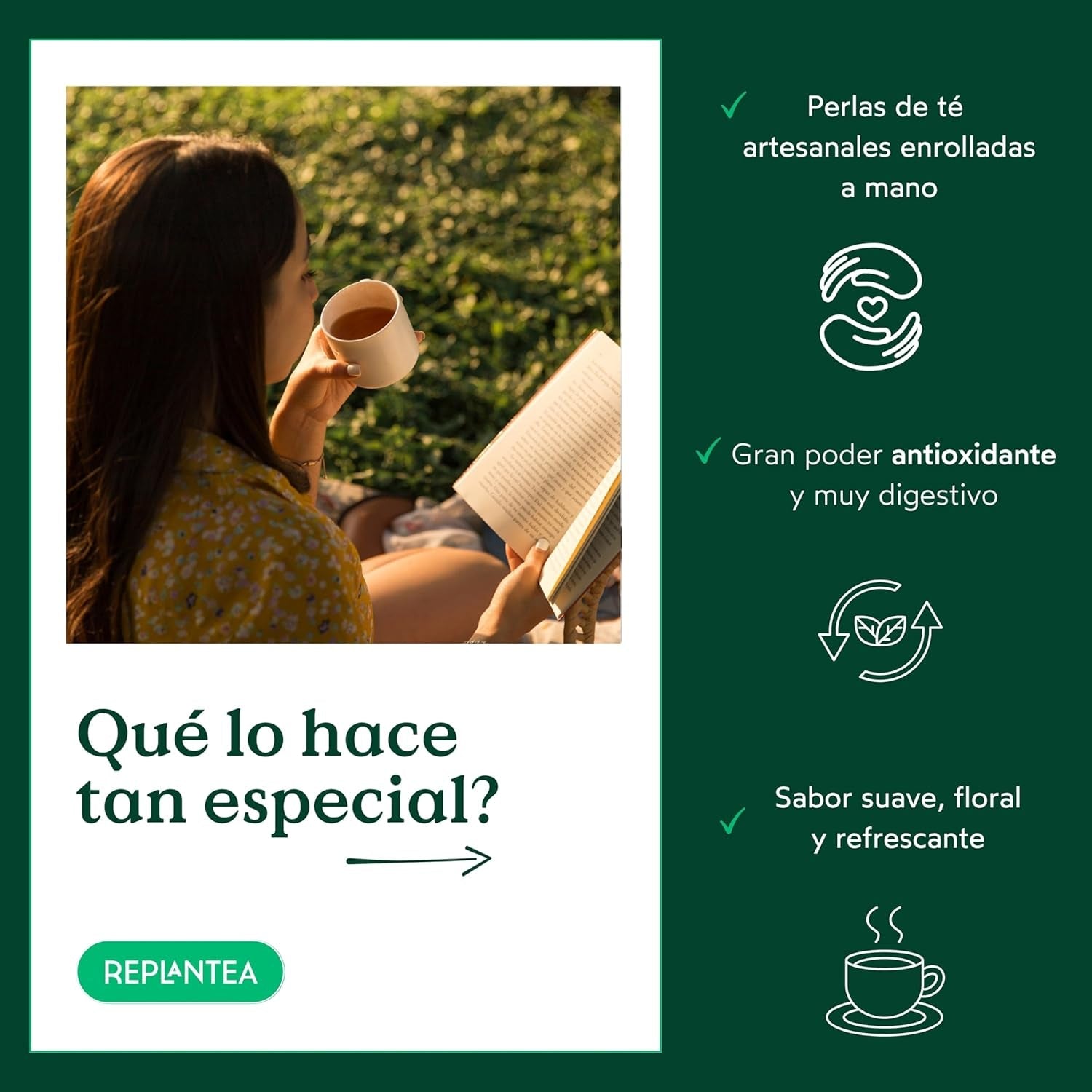 Ceai organic Jasmin Dragon Pearls (100 g) | Ceai verde premium sub formă de perle de jasmin rulate manual | Specialitate de ceai cu aromă delicată de flori | REPLANTEA